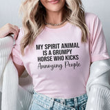 My Spirit Animal Is a Grumpy Horse Who Kicks Annoying People T-Shirt