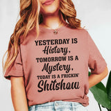 Yesterday Is History, Tomorrow Is a Mystery, Today Is a Frickin’ Sh*tshow T-Shirt
